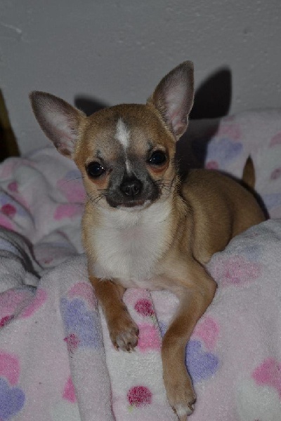ILOUA